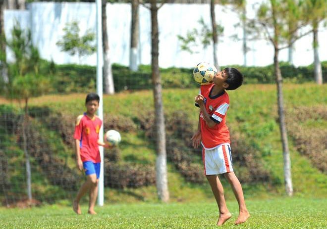 Dau tu 6.000 ty dong de nguoi Viet tang 5 cm chieu cao hinh anh