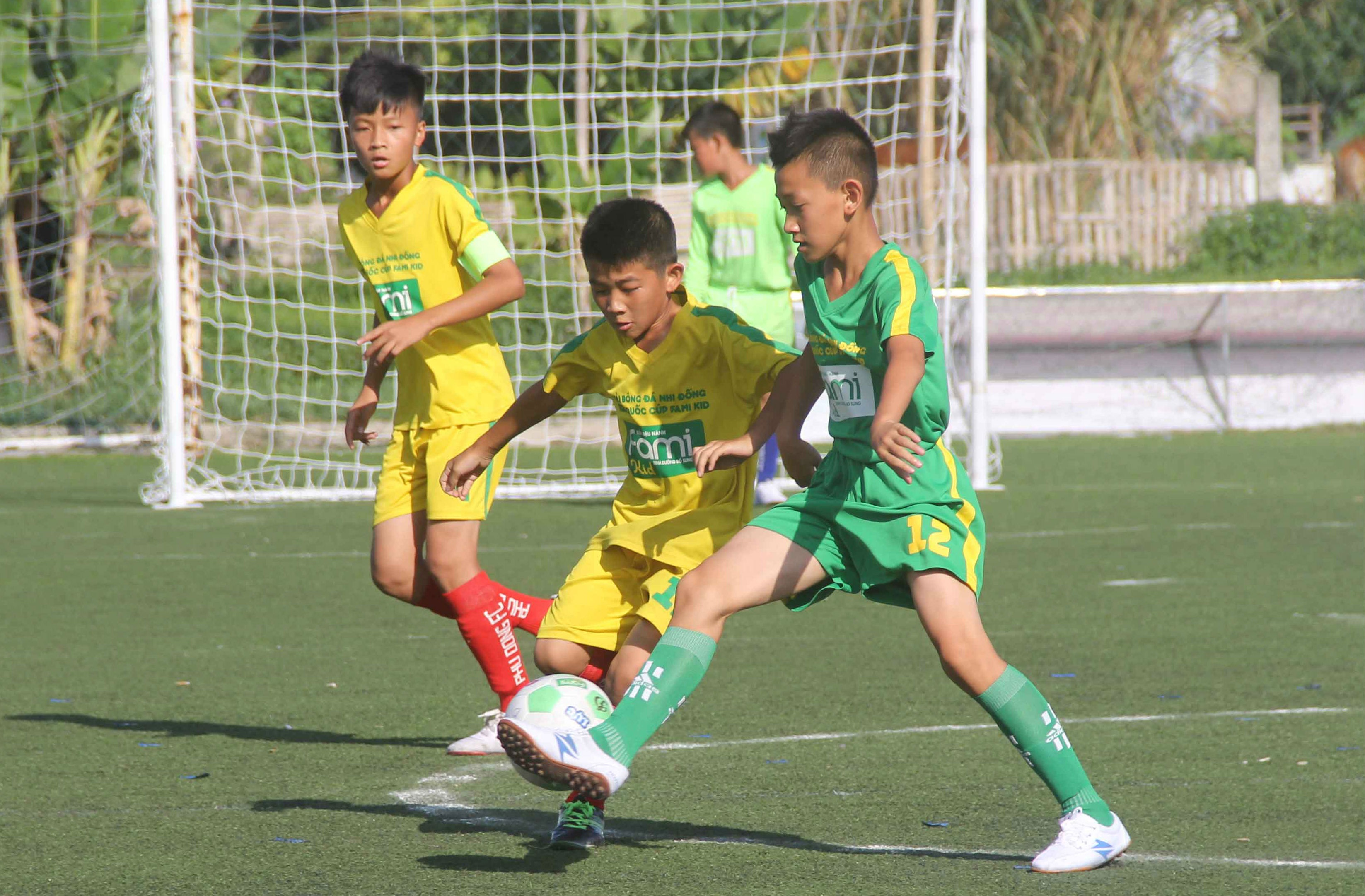 Xac dinh 16 doi du VCK giai bong da nhi dong toan quoc hinh anh