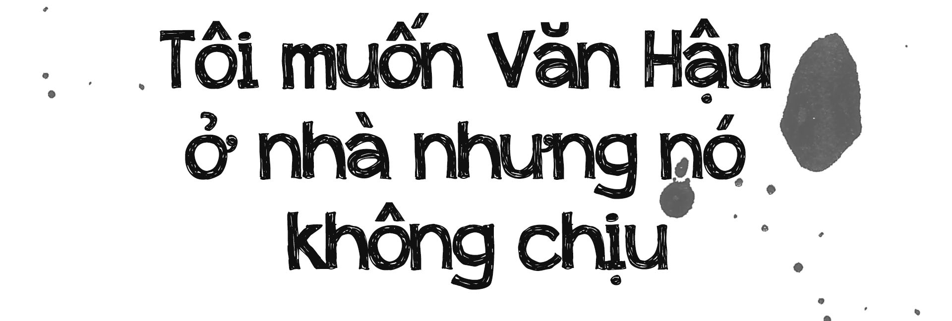 Doan Van Hau ngoi sao toa sang anh 6