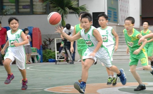 Tang so doi du VCK giai bong ro hoc sinh tieu hoc Ha Noi hinh anh