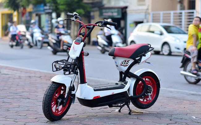 Xe dap dien nuoc ngoai 'doi lot' hang Viet xuat sang chau Au hinh anh