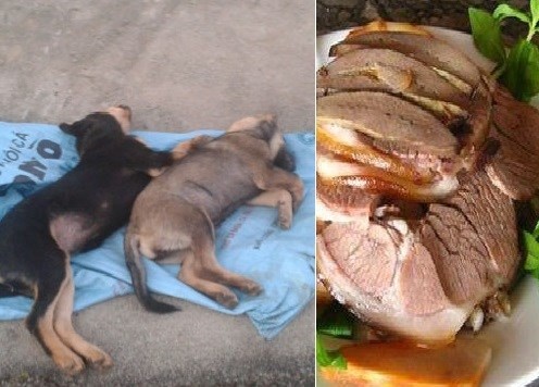 Người tiêu dùng rất dễ ăn phải thịt chó dại