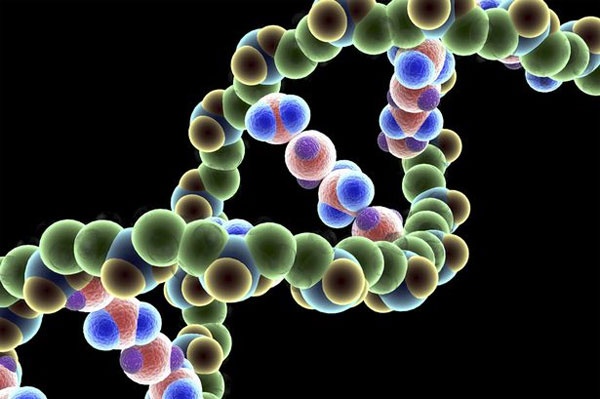 ADN cho biet khi nao chung ta se chet hinh anh