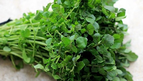 Cai xoong - khac tinh cua benh tat hinh anh