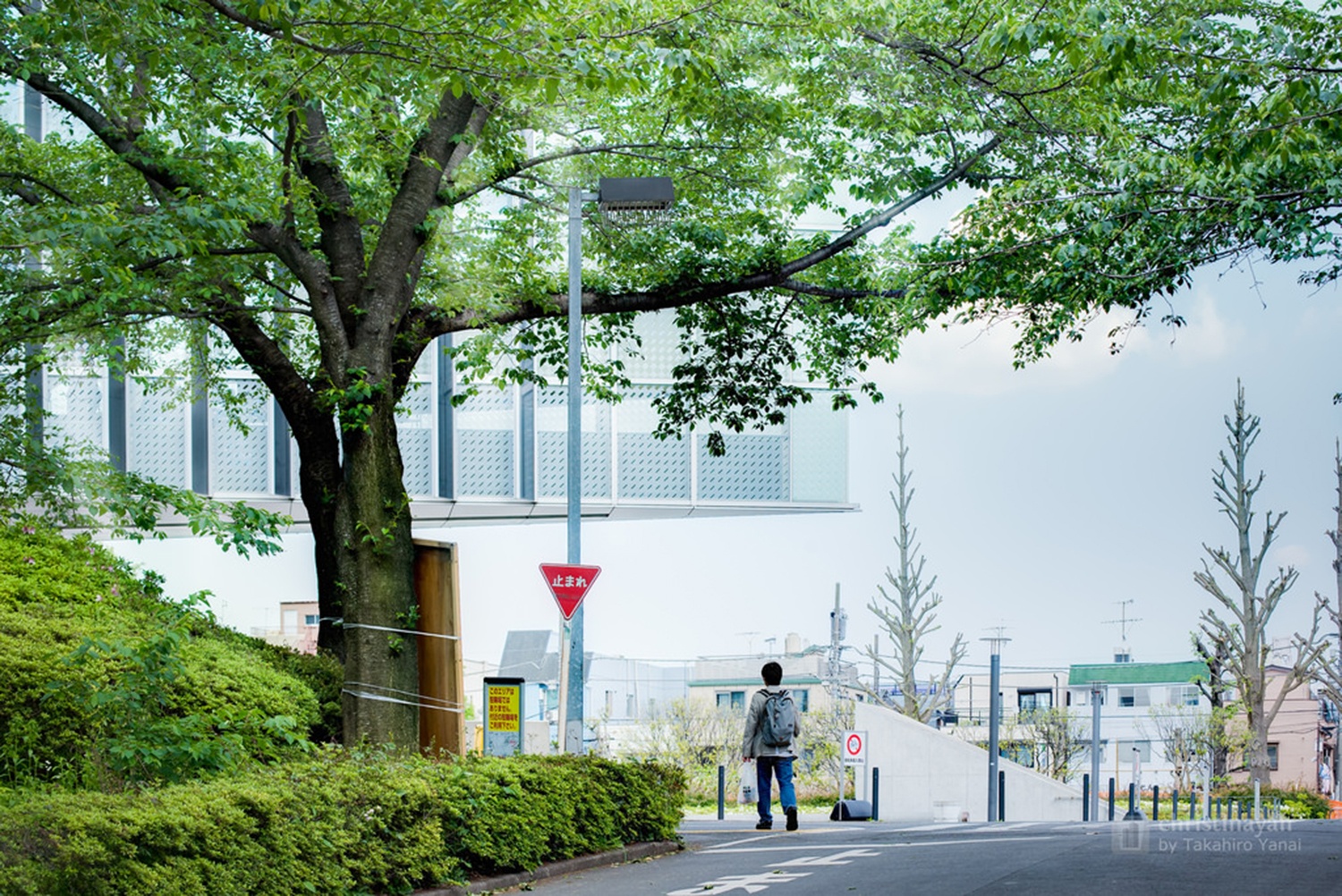 Nobel Y Sinh ảnh 5 Nobel Y Sinh anh 5