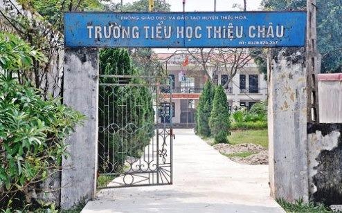 Chuyen lam thu dau nam tai Thanh Hoa hinh anh