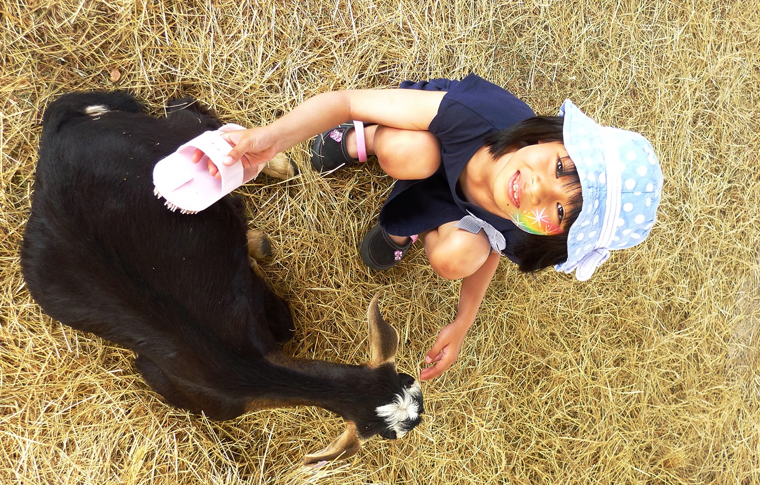 trò chuyện cùng hoàng tử william ảnh 2 tro chuyen cung hoang tu william anh 2