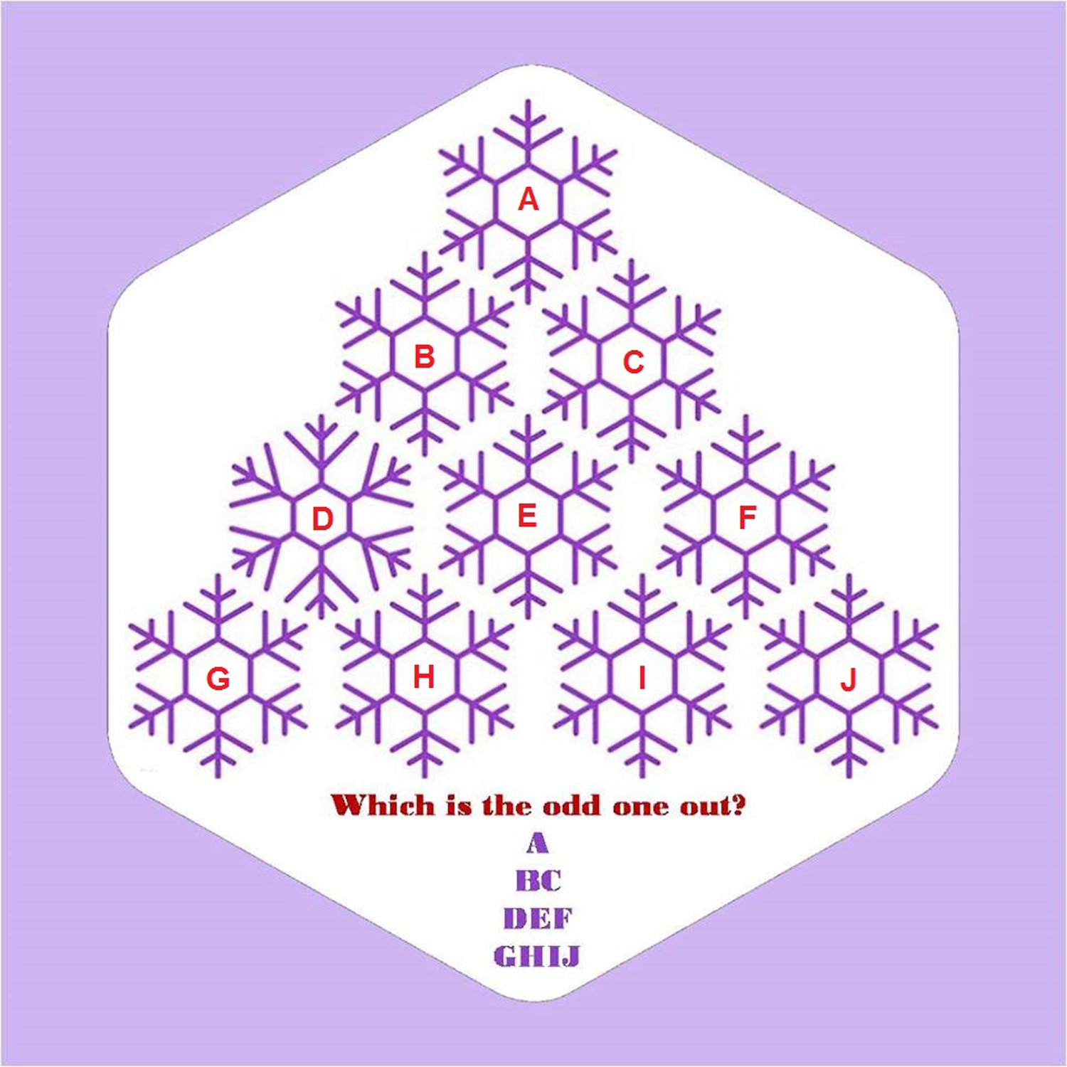 câu đố thú vị ảnh 1 cau do thu vi anh 1