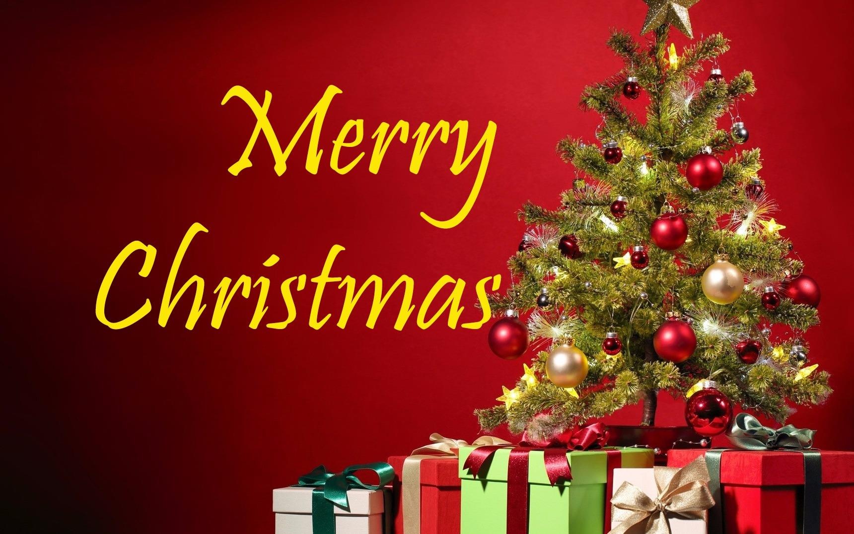 Thu tai suy luan, tim chu nhan cua cay thong Noel hinh anh