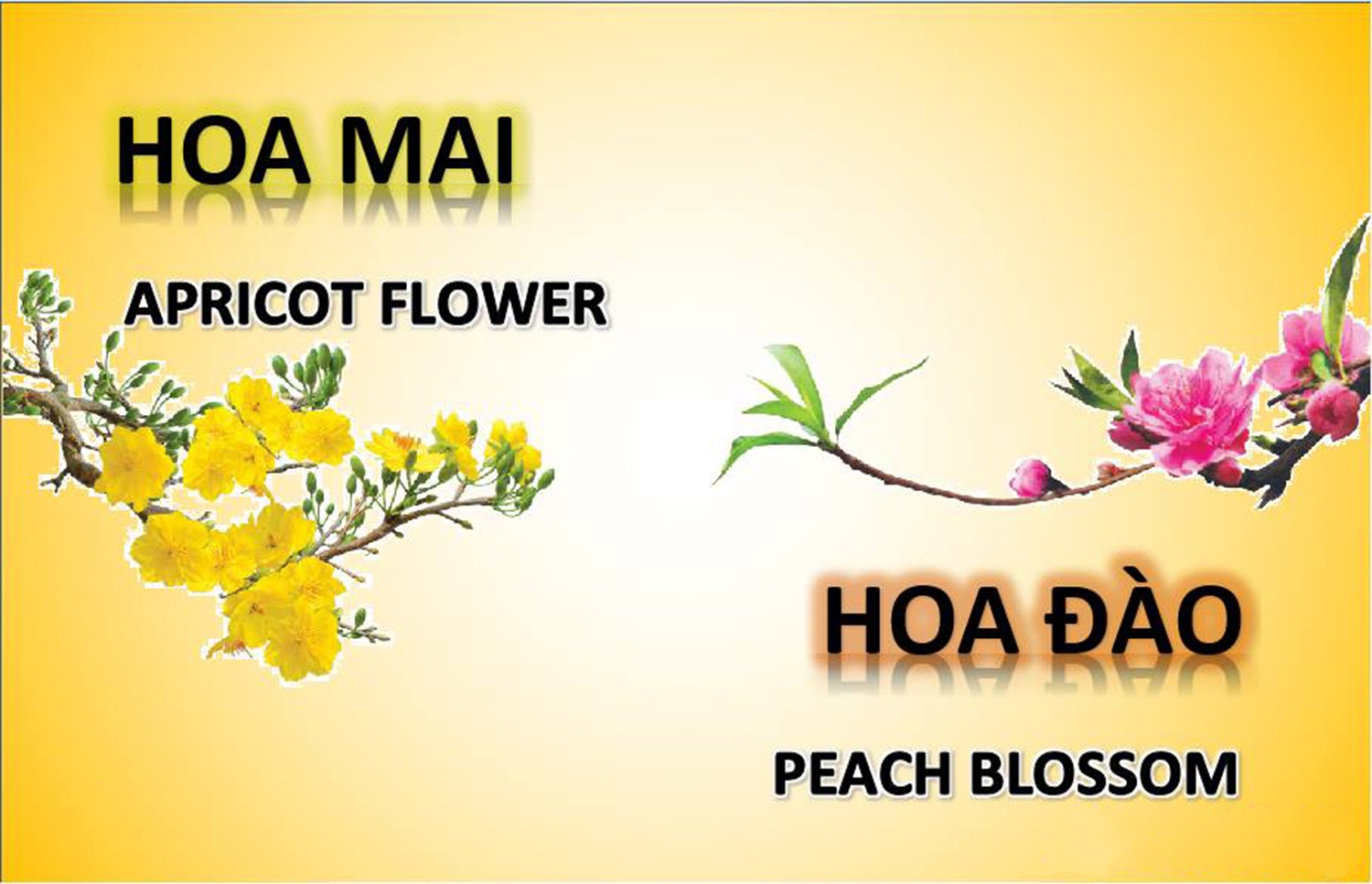 hoc tieng Anh cung thay giao 9X anh 5