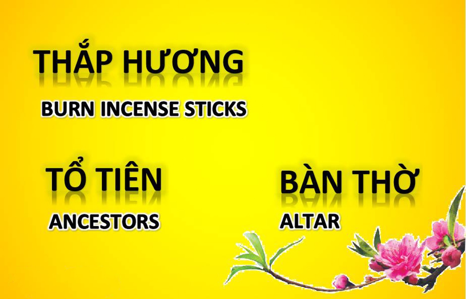 hoc tieng Anh cung thay giao 9X anh 8