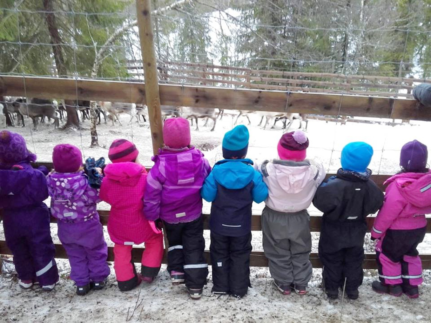 truong cho hoc sinh nhin canh giet tuan loc anh 1