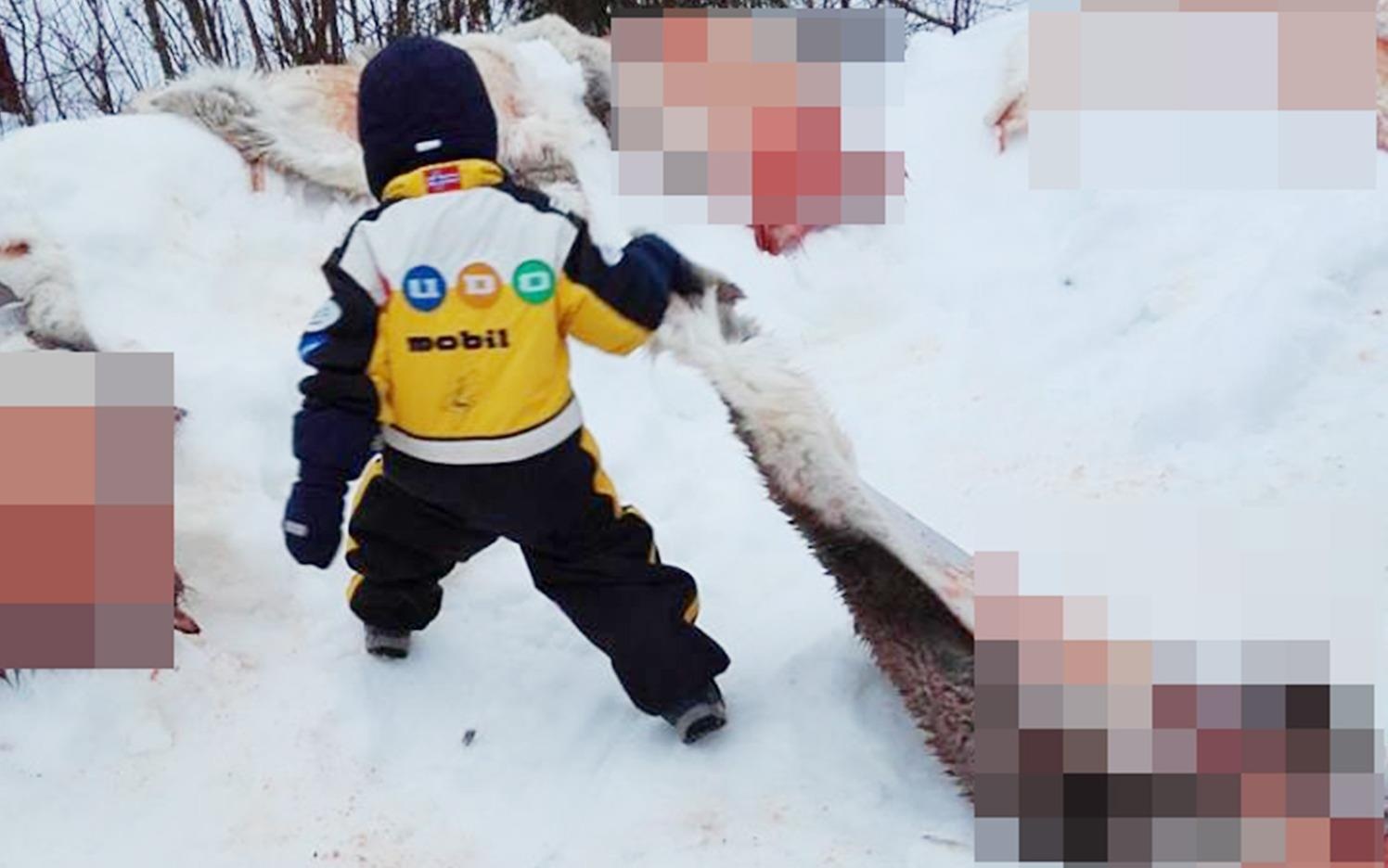 Phu huynh phan no vi truong cho tre nhin canh giet tuan loc hinh anh