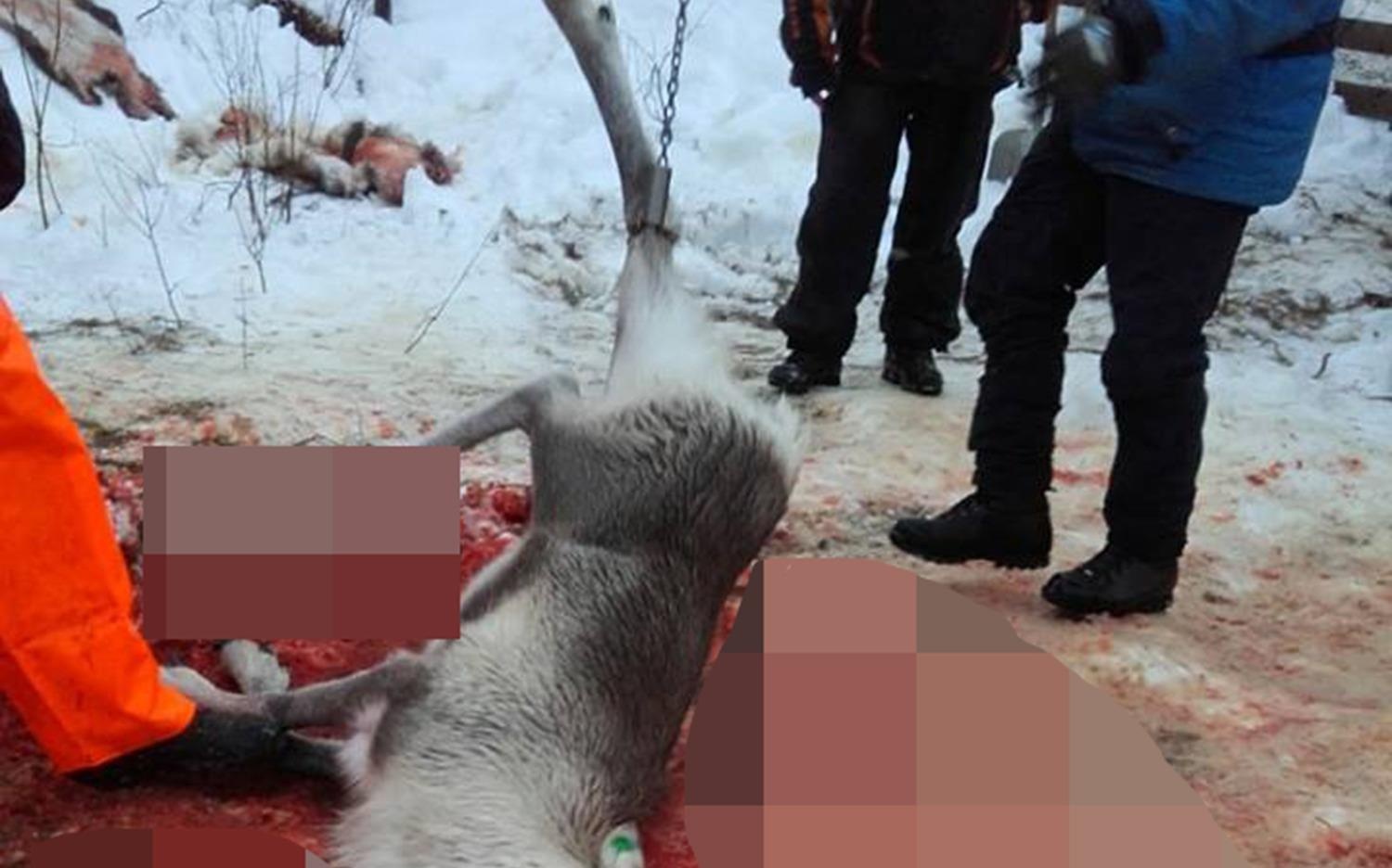 Du luan phan no vi truong cho hoc sinh chung kien canh giet tuan loc hinh anh