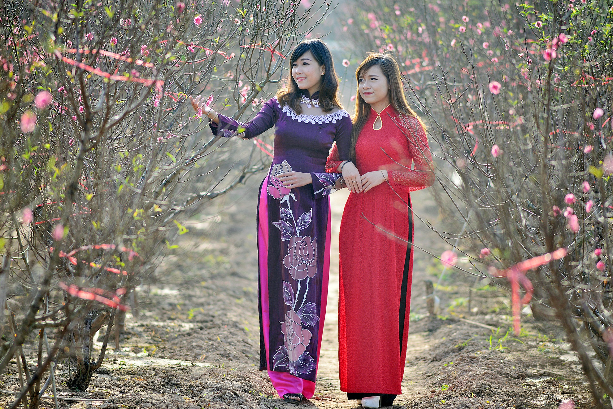 Tet Nguyen dan anh 1