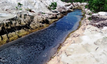 mang khẩu trang lên lớp ảnh 1 mang khau trang len lop anh 1