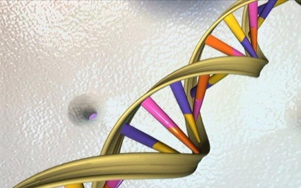 On thi THPT quoc gia Sinh hoc: Ai truyen cho con ma lum dong tien? hinh anh