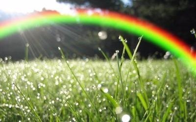 On tap Vat ly: Vi sao co cau vong sau mua? hinh anh