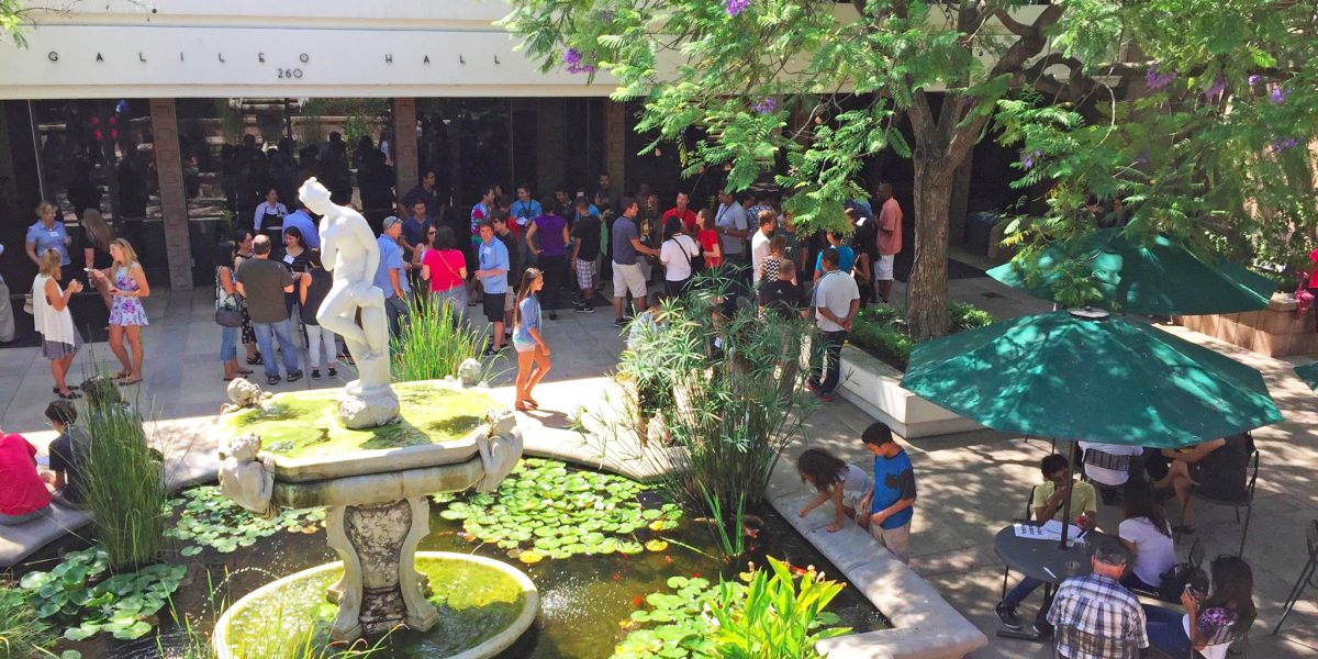 truong dang hoc nhat anh 2