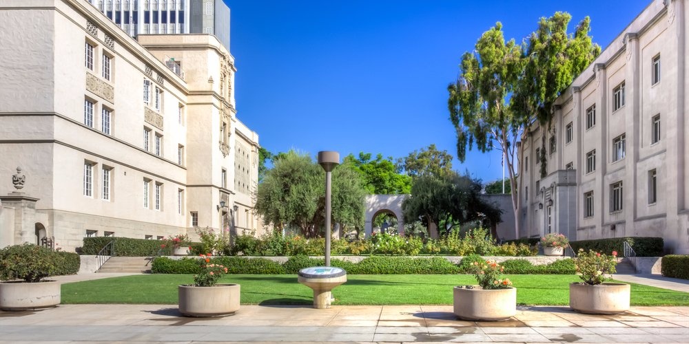 truong dang hoc nhat anh 6