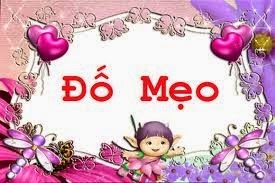 Nhung cau do meo de dang danh lua nguoi giai hinh anh