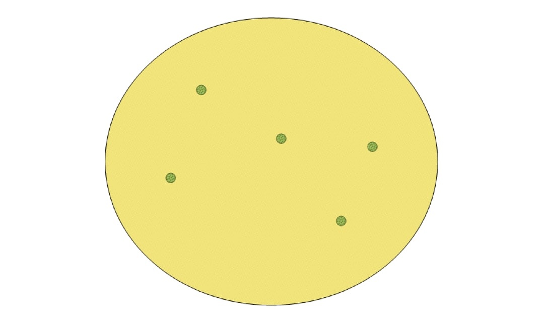 cau do hai nao anh 1