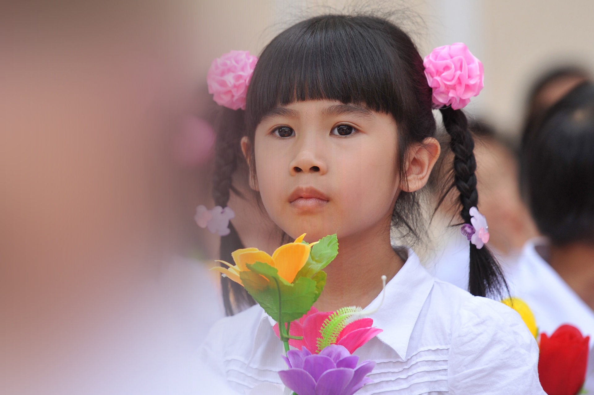 Nho nhung mua khai giang ngop sac hoa rung hinh anh