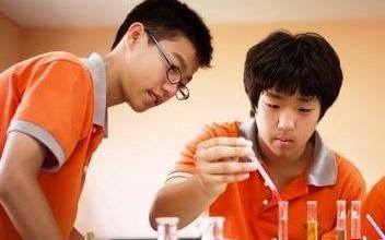 Chinh sach giao duc cua Singapore tot nhat the gioi hinh anh