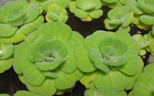 học toán qua truyện cổ tích ảnh 1 hoc toan qua truyen co tich anh 1