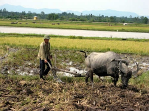 học toán qua truyện cổ tích ảnh 1 hoc toan qua truyen co tich anh 1