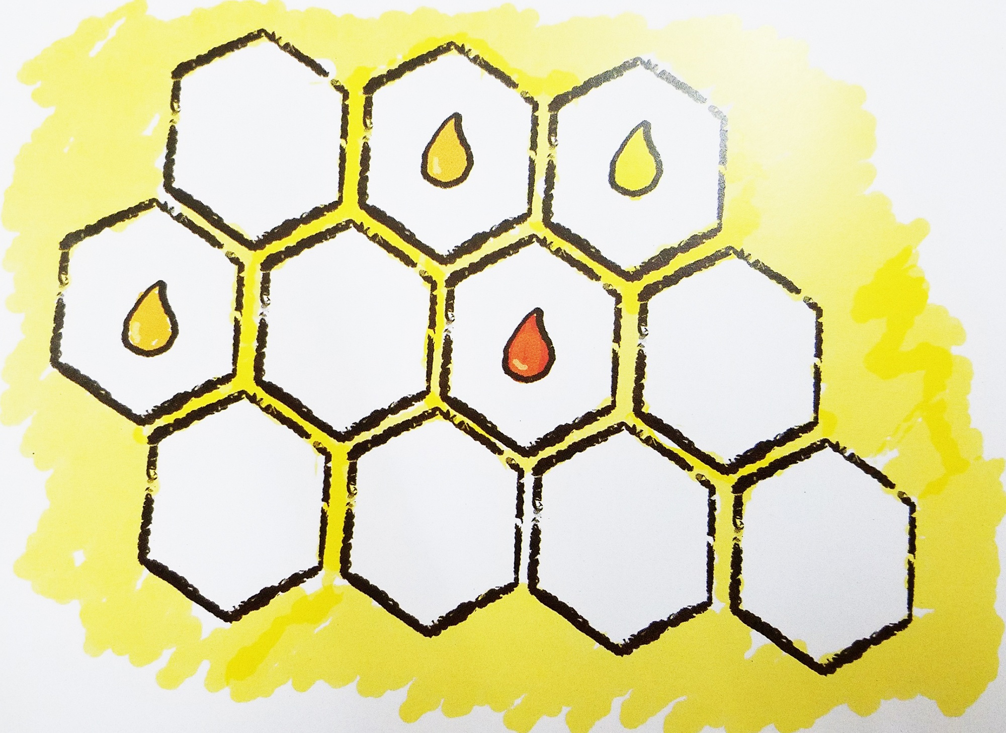 câu đố tô màu ảnh 1 cau do to mau anh 1