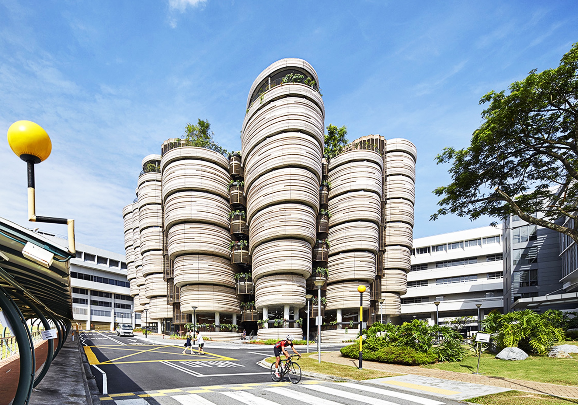 truong dai hoc tot nhat chau a anh 2