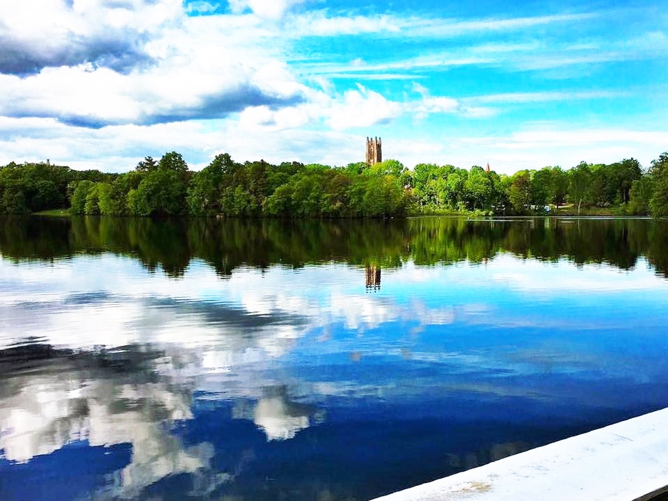 truong dai hoc dep nhat anh 4