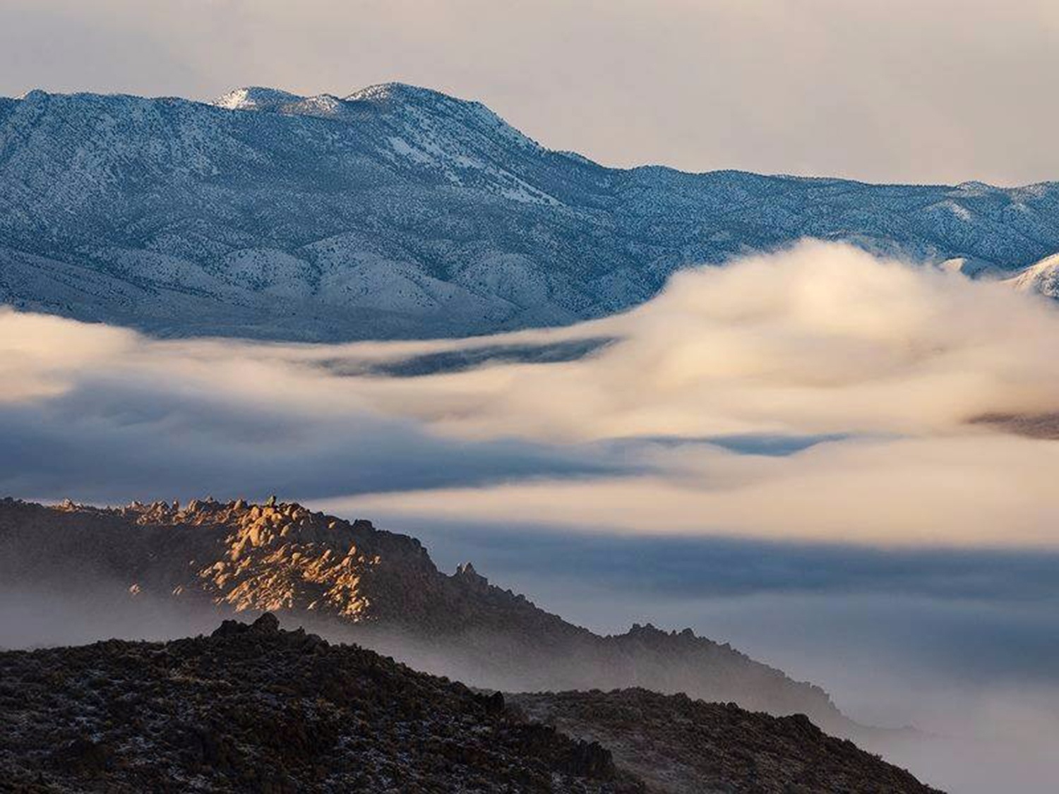 truong cao dang nam giua sa ma anh 2
