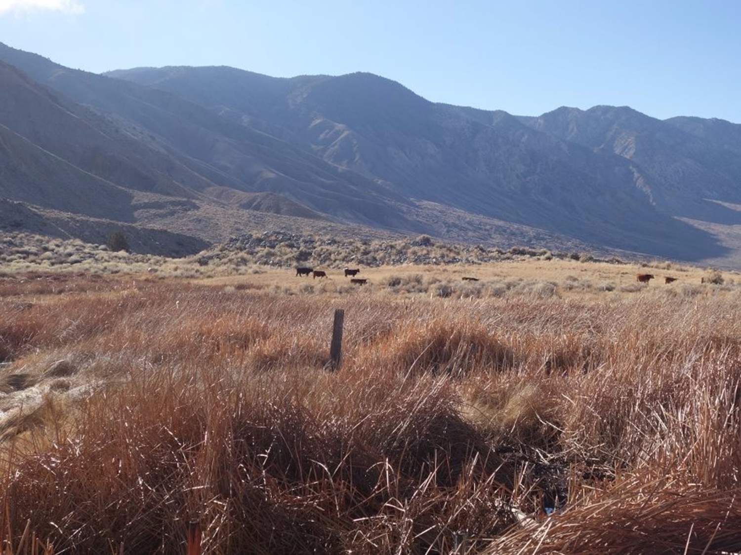 truong cao dang nam giua sa ma anh 3