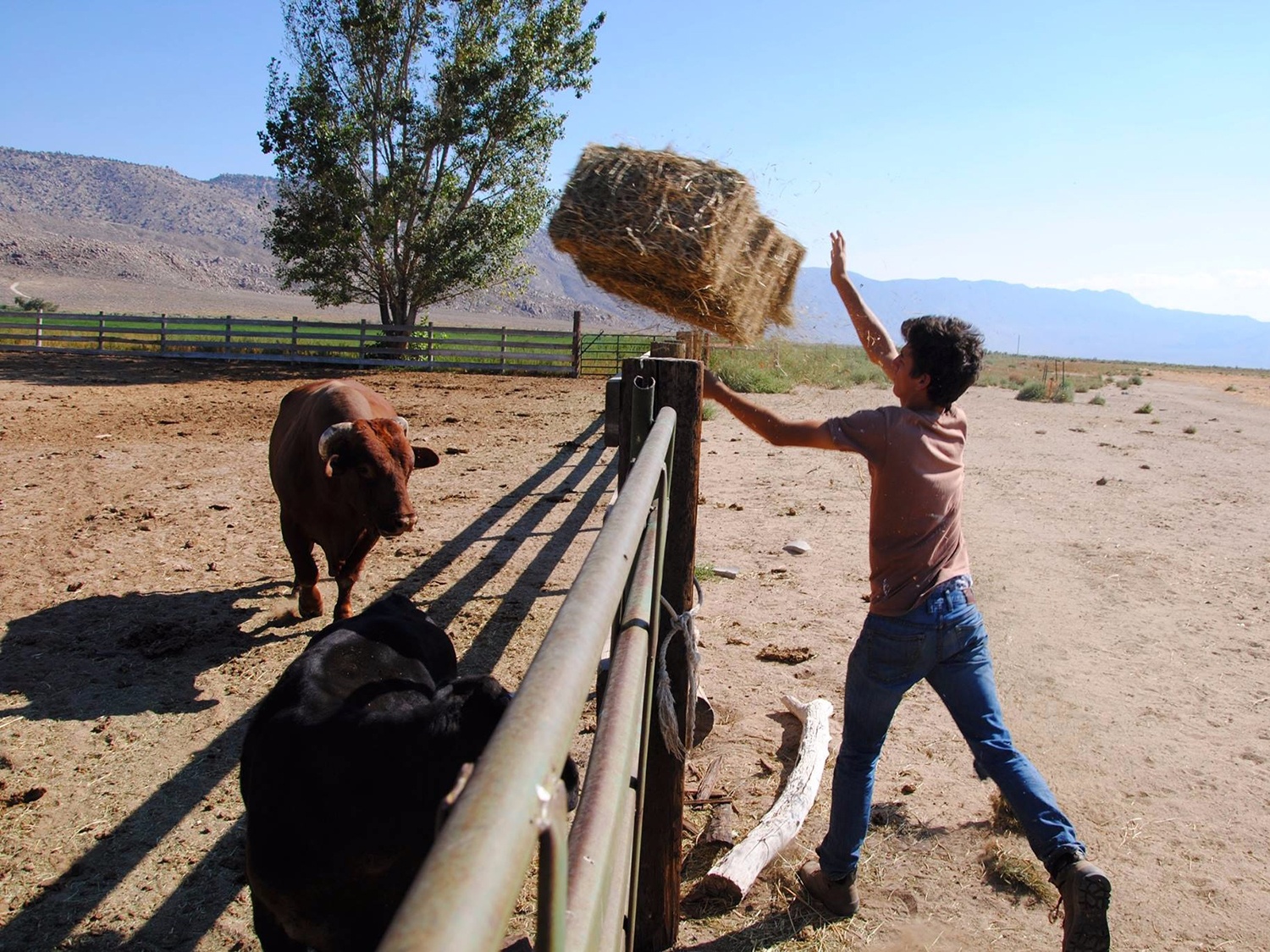 truong cao dang nam giua sa ma anh 8