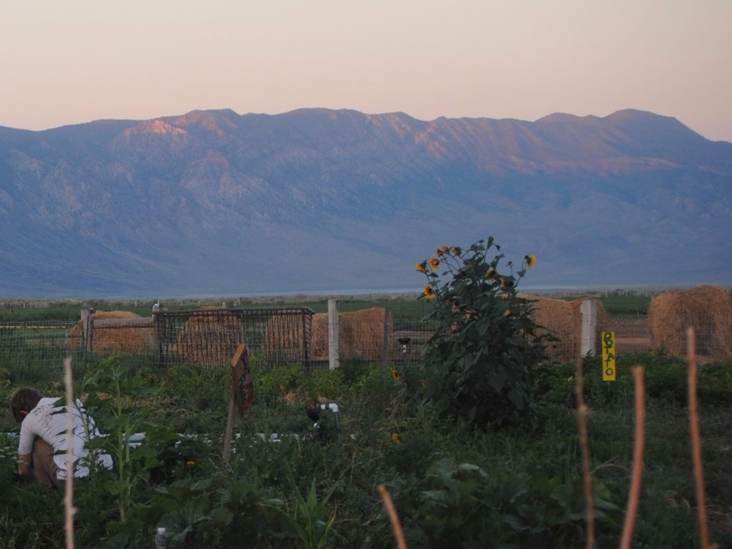 truong cao dang nam giua sa ma anh 9