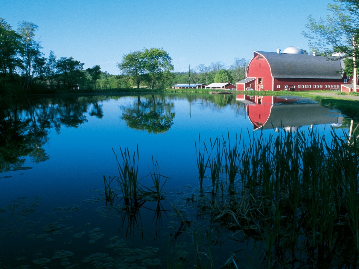 truong hoc dac biet anh 1