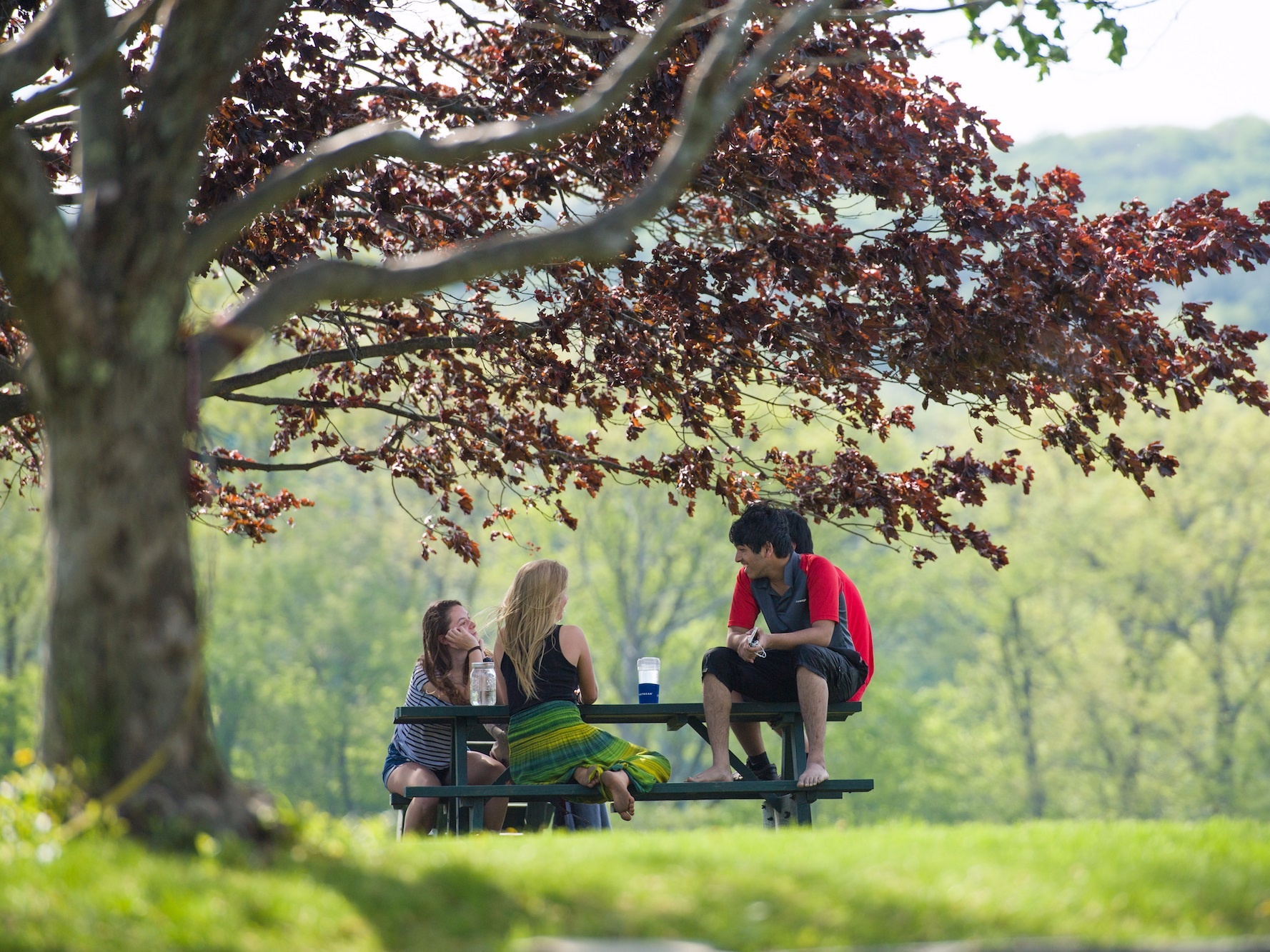 truong hoc dac biet anh 3