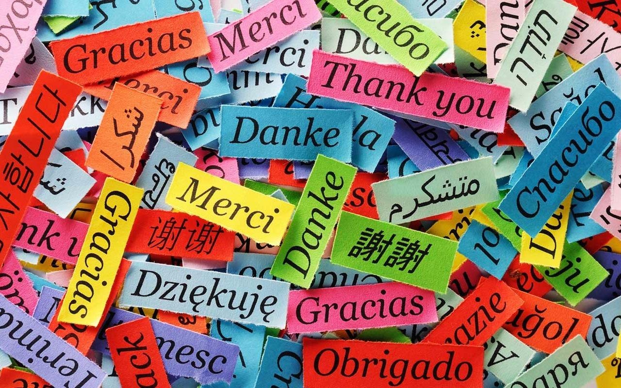 Ngon ngu nao kho hoc nhat the gioi vi phat am nhu tieng ngua chay? hinh anh