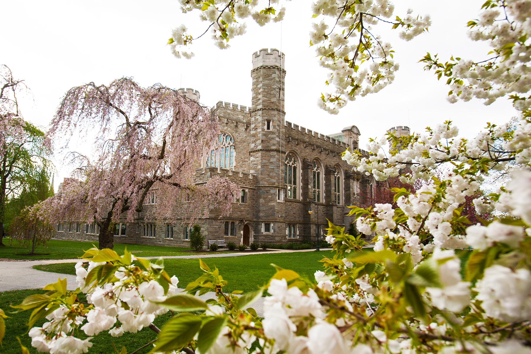 truong dai hoc dep nhat anh 3