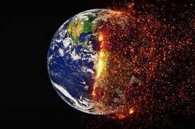 loài động vật sắp tuyệt chủng ảnh 3 loai dong vat sap tuyet chung anh 3