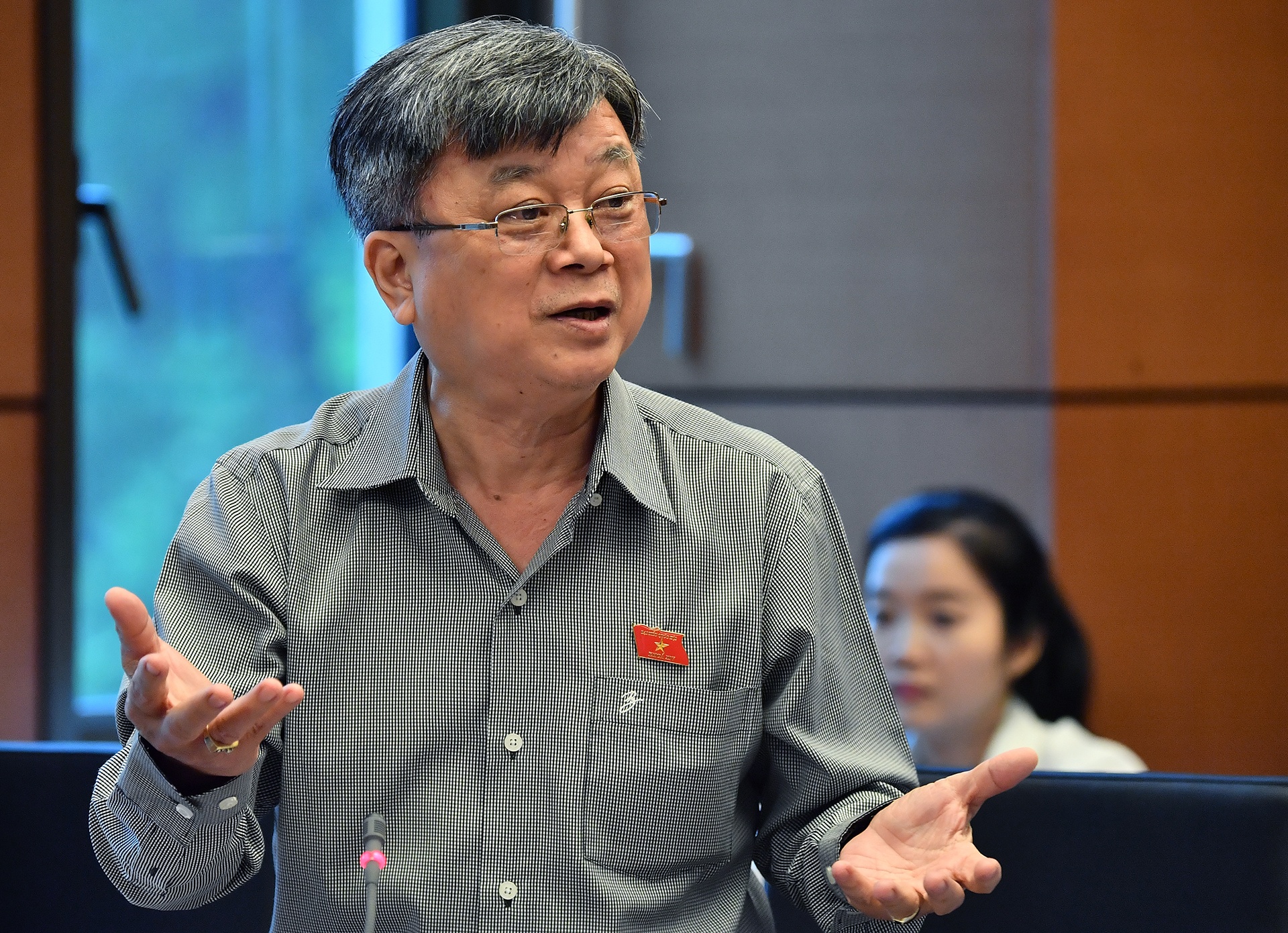 Dai bieu Quoc hoi: GS Truong Nguyen Thanh ve My gay mat niem tin hinh anh