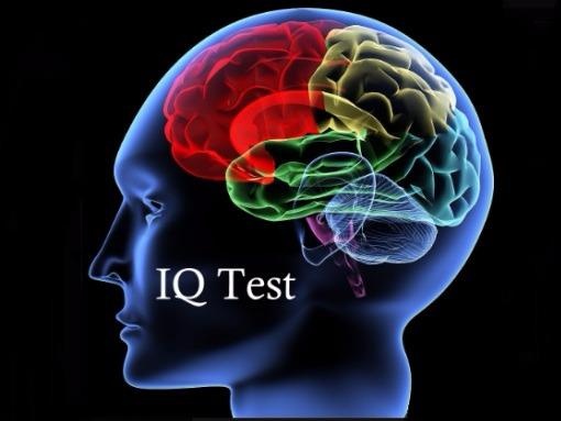 Trac nghiem do IQ, chi thien tai moi gianh diem tuyet doi hinh anh