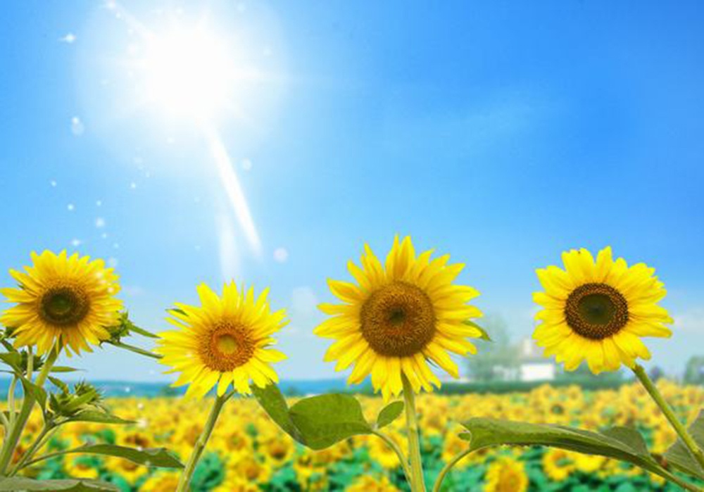 trac nghiem chinh ta anh 1