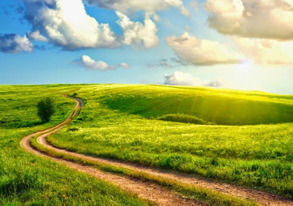 trac nghiem chinh ta anh 6