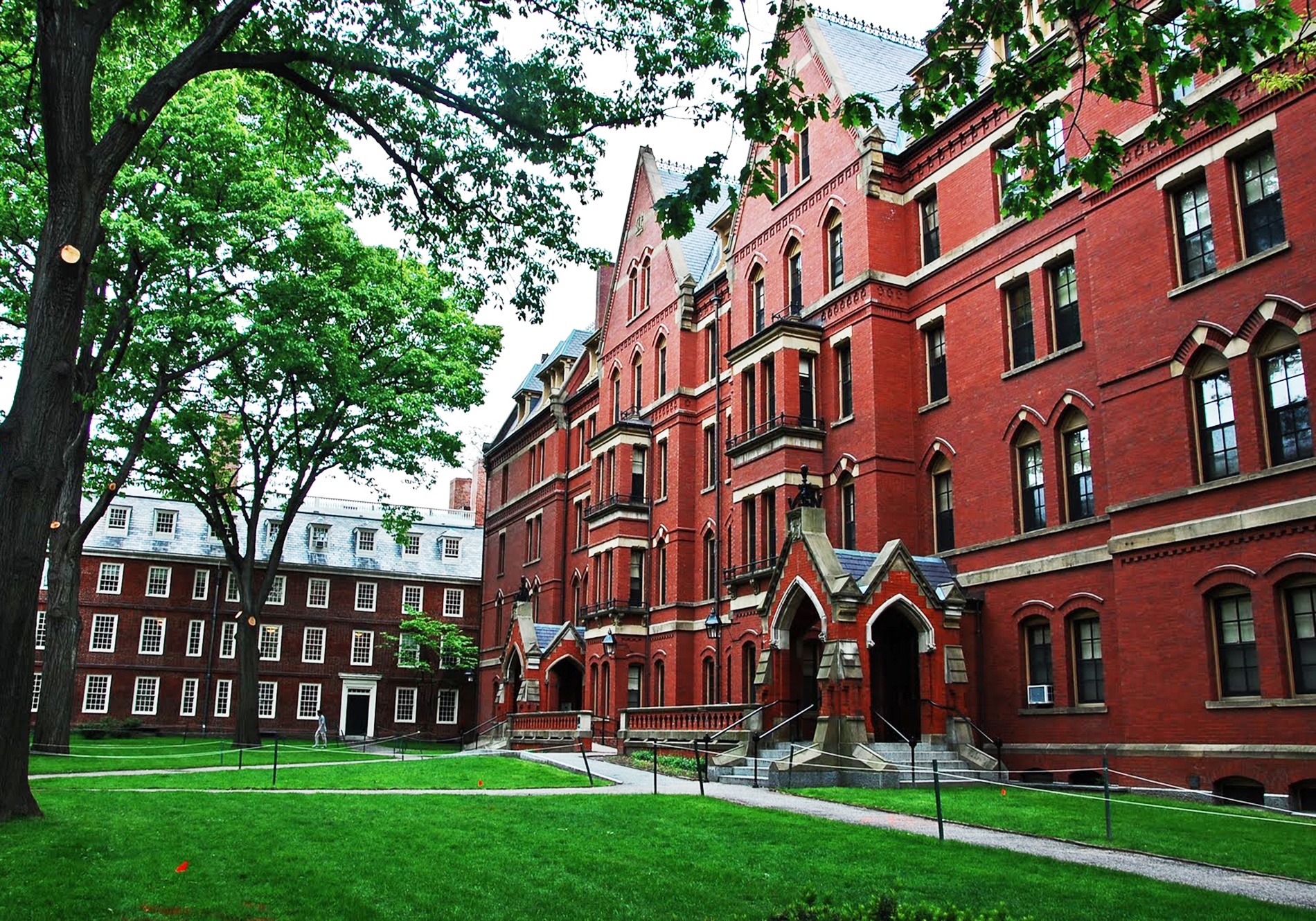 truong y tot nhat the gioi anh 1