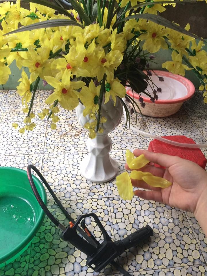 don nha cuoi nam anh 9