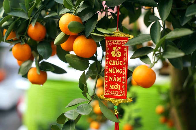 tu vung ve tet anh 9