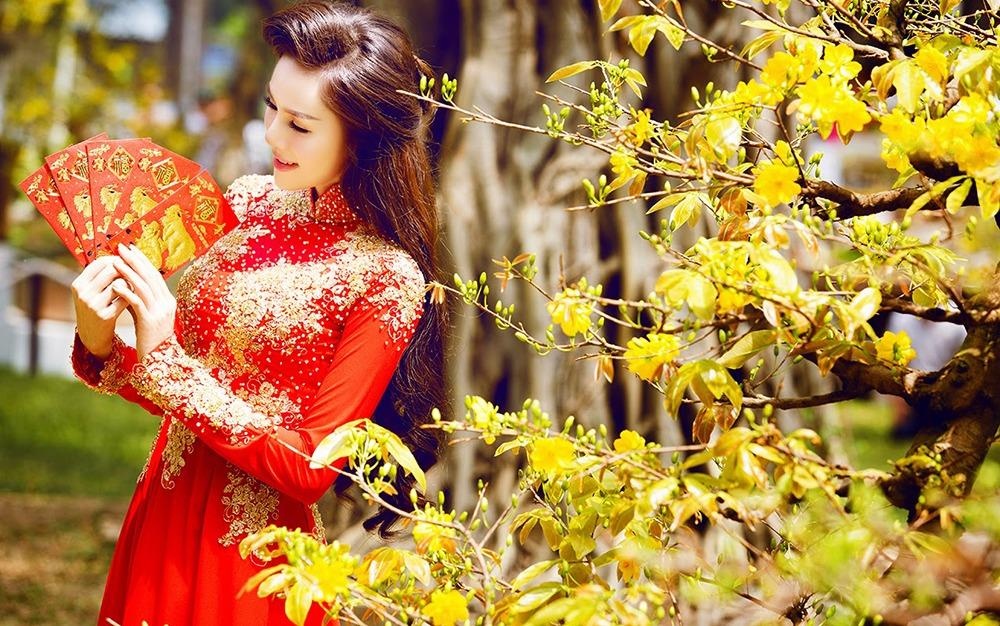 Mieu ta banh chung bang tieng Anh nhu the nao? hinh anh